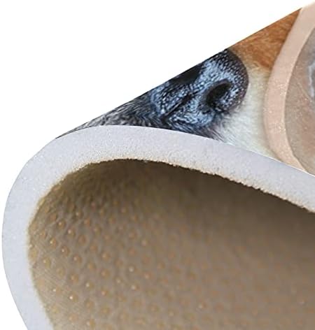Baxiej Симпатично померанско куче Големо мека област килими расадник плејматски килим мат