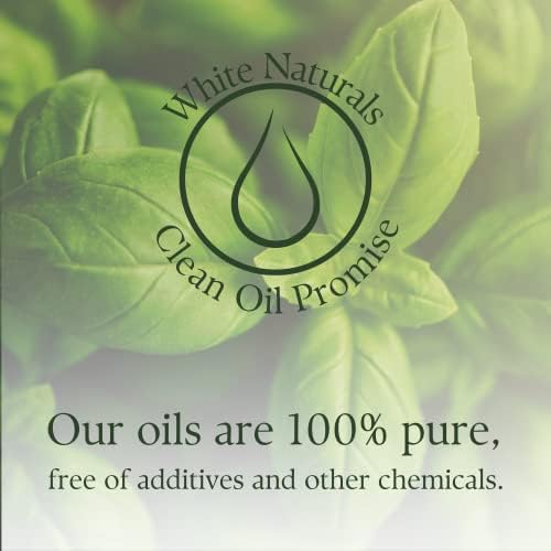Есенцијално масло од босилек - Подобрете ја будноста - 100 чисто терапевтско одделение масло од босилек за ароматерапија 1 мл