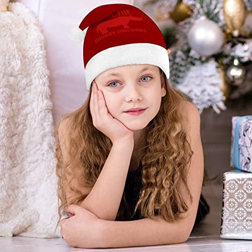 Зачувајте Ги Буцкастите Еднорози Божиќната Капа На Дедо мраз За Празникот На Црвената Божиќна Капа Ги Фаворизира Новогодишните Празнични