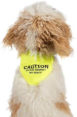 Ancol ја почитува мојата вселенска предупредување бандана за куче, мала/средна, жолта
