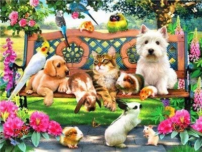 QGHZSCS боја по броеви дигитално сликарство мачки кучиња слики од животни б1