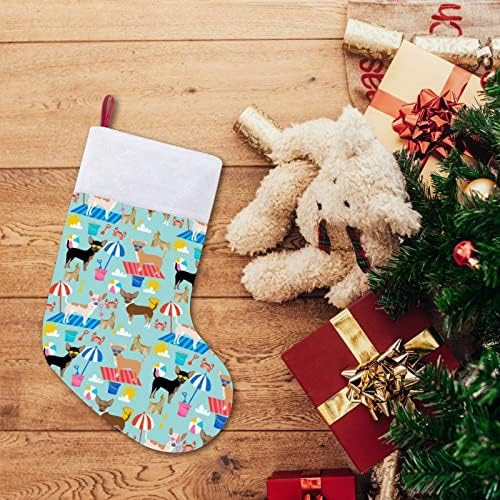 Шихуахуа Сенкаслс Божиќно порибување Божиќно дрво камин виси чорапи со кратка кадифен манжетна декорација за домашна забава
