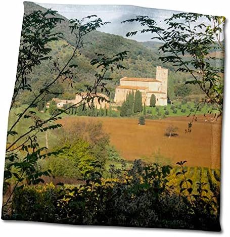 3дроза Данита Делимонт-Италија-Италија, Тоскана. Лозје и маслинови дрвја-Крпи