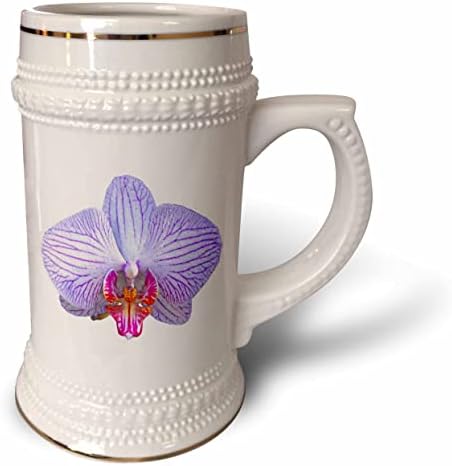 3дроуз Боем Графички Цвет-виолетова и бела орхидеја - 22оз Штајн Кригла