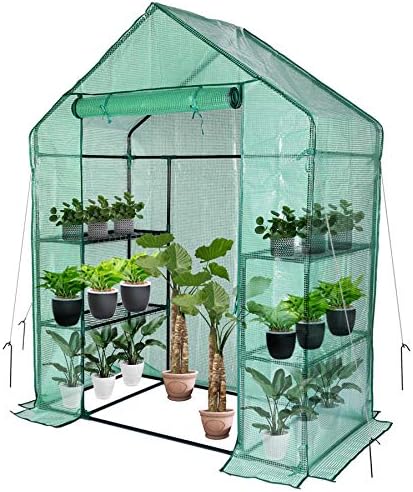 Мала стаклена градина за отворено, мини прошетка во стаклена градина, преносна стаклена градина со влезна врата и прицврстувачи за стабилност