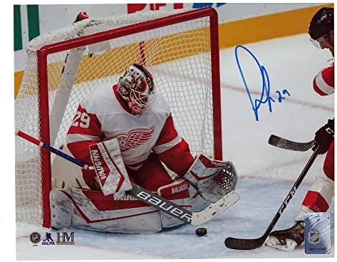 Томас Грејс Детроит Црвени крилја 8 x 10 Фото - 70021 - Автограмирани фотографии од НХЛ