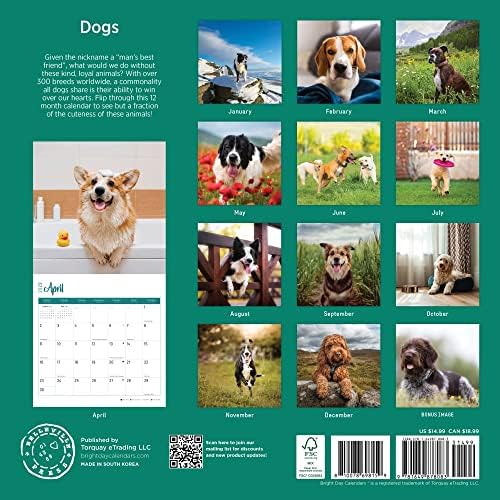 2023 Кучиња Месечен Ѕиден Календар По Светлиот Ден, 12 х 12 Инчи, Симпатична Симпатична Фотографија За Миленичиња