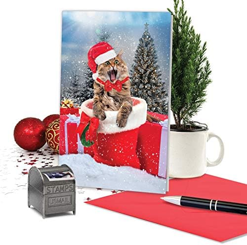 Најдобра компанија за картички - Среќна Божиќна честитка со плик - Antics CATS C3195FXSG