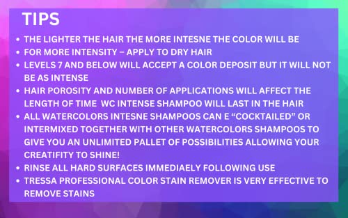 Акварели Интензивна Метална Боја Депонирање Сулфат Слободен Шампон, Одржува &засилувач; Ја Подобрува Бојата На Косата (ИНТЕНЗИВНА МЕТАЛНА РОЗА