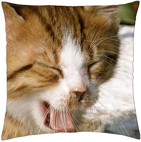 Lesgaulest фрлање перница - мачка мачка бебе млада мачка црвена мачка маче домашна мачка