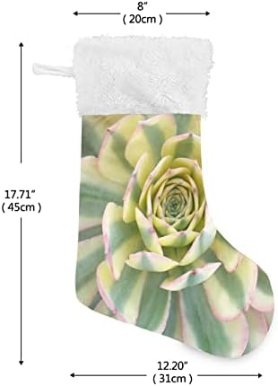 Xigua шарени сукулентни растителни божиќни чорапи бели плишани манжетни за порибување на подароци за украси за украси за забави