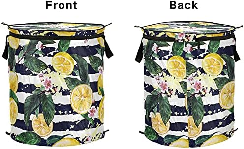 Цвеќиња оставаат лимон, се појавуваат алишта за перење со капакот за складирање на капакот за складирање на капакот за кампување дома за кампување дома