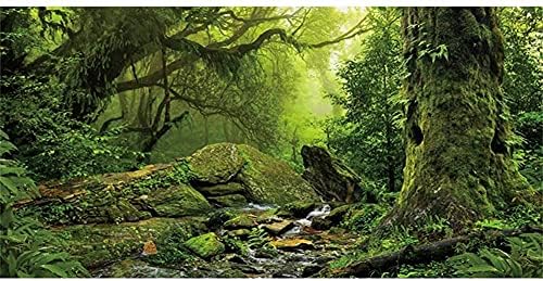 Awert тропска шума терариум позадина поток зелена огромна огромна рептил на рептил во позадина Фоги дождовни шуми Аквариум позадина 36x18 инчи трајна позадина на полие