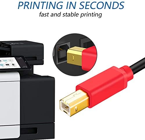 Кабел за печатач 25ft, тен QY USB 2.0 со голема брзина позлатен конектор за печатач кабел за кабел за кабел за кабел за кабел за печатачи маж