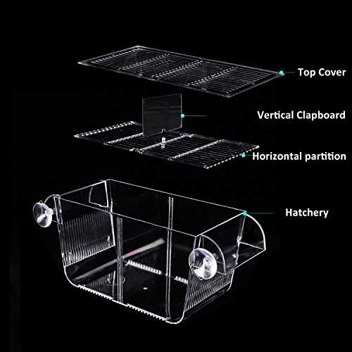 Кутија за Размножување Риби кгуаи, совршена кутија за аклиматизација на делител на риби за агресивни риби, расадник за повредени, кутија за одгледување инкубатори