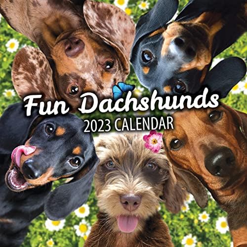 Забава Dachshunds Куче Ѕид Календар 2023-Големо Семејство Планер &засилувач; Дневен Организатор Со Месечна Слика Dachshund-Куче Љубовник