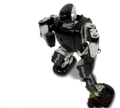 Gowe Metal Fighter Robots/Humanoid и Biped Robots
