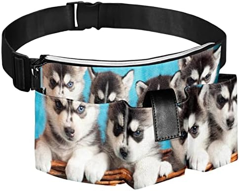 Четири кученца Хаски куче Фани Пак со џебови со 4 зимки, подароци за уживање во спортски фестивал тренинг патувајќи во трчање обичен