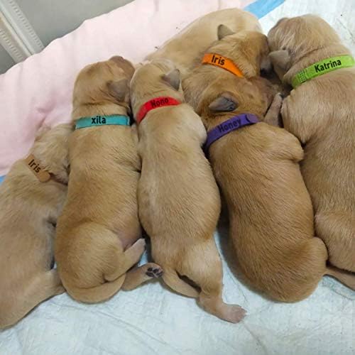 30 парчиња кученце, нозечки јаки од новороденче, двострани меки прилагодливи лични карти за кученца за легло новороденче домашно