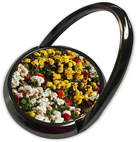 3Drose Alexis Photography - Цвеќиња - природен тепих од жолта, бела, црвена цвеќиња и зелена трева - телефонски прстен