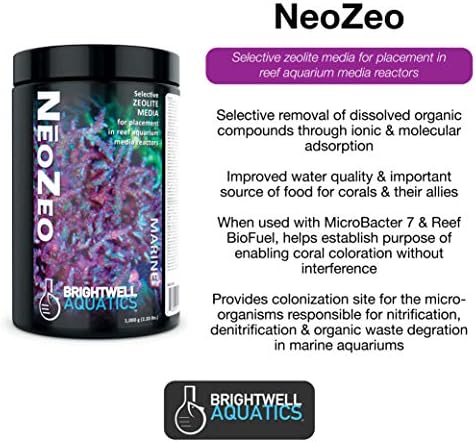 Brightwell Aquatics Neozeo - Селективен зеолит медиум за сместување во реактори на аквариум во гребени, 4,5 -кг