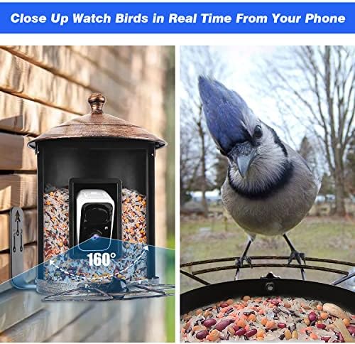 Паметна камера за фидер за птици со активирана движење, метална фидер за птици со HD камера безжичен надворешен, АИ Идентификувајте видови