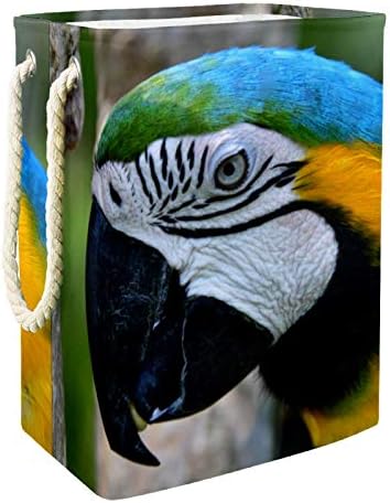 Маполо Ја Попречува Папагалот Преклоплива Ленена Корпа За Складирање Алишта Со Рачки Држачи Што Се Одвојуваат Добро Држејќи Водоотпорен За Облека