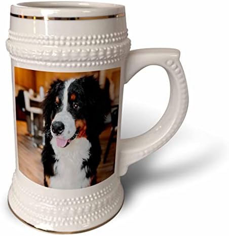 3dRose Тори Ен Колекции Кучиња-Симпатична Бернски Планинско Куче - 22oz Штајн Кригла