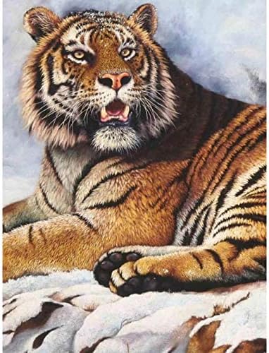 QGHZSCS боја со броеви дигитално сликарство тигар DIY сликарство комплет уметност A9