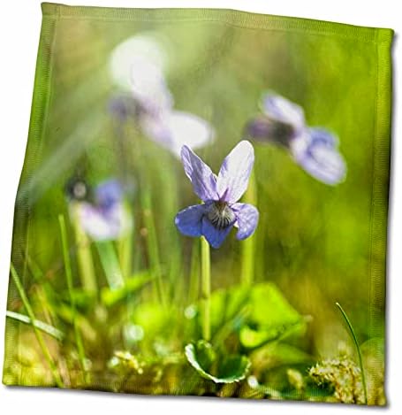 3drose Uta Naumann Fhotography Flowers - Виолетова цвеќиња ливада во пролет - крпи