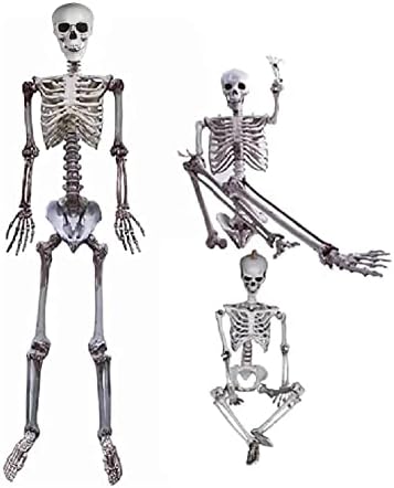Aweilan 5,4 ft Ноќта на вештерките Скелетот со големина на целото тело Човечки коски со подвижен зглоб за додатоци за забави за Ноќта на вештерките, додатоци за куќи за ку