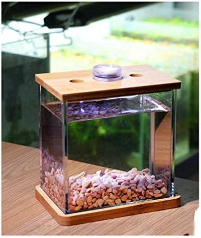 Hanxiaoyishop риба сад личност креативно стакло риба резервоар аквариум дневна соба мода работна површина мали мини аквариум риба чинии