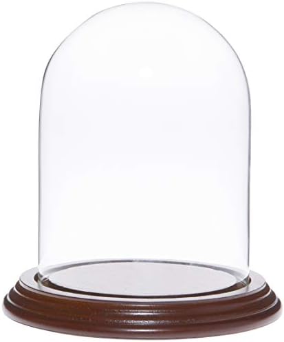 Plymor 4 x 5,25 стаклена купола купола клоче