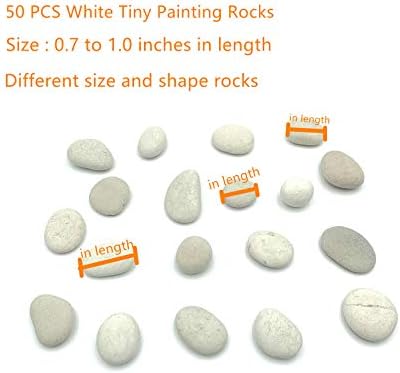 LifeTop 50pcs мали бели карпи за сликање DIY карпи за сликање детално-сликање мазни површински камења, уметност и занаети ， 0,7 до
