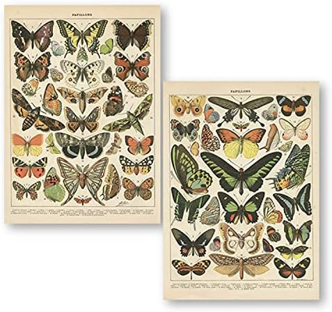 2 Пакувајте гроздобер постер за пеперутка, ретро стил на платно wallид декор, уметничко сликарство, без згаснување