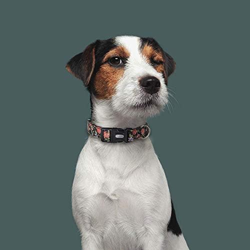 Ewinoom Dog Chople Clower Print Симпатични меки јаки за мали средни девојки кучиња кои тренираат одење, повеќекратна шема