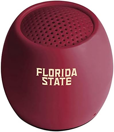 Сонцето време Флорида држава Семинолес нула мини звучник за Bluetooth